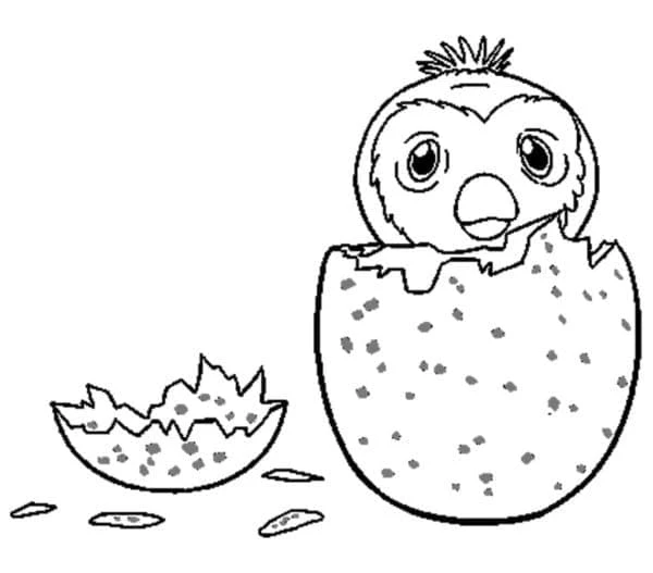 Hatchimals boyama sayfası – boyama etkinliği, çocuk aktivitesi