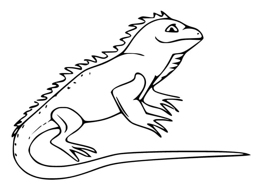 Iguana boyama sayfası – evde etkinlik, ücretsiz yazdır