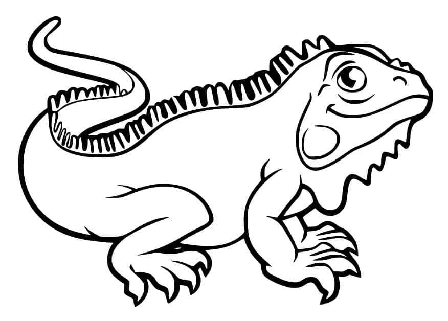 Iguana boyama sayfası – kolay boyama, eğitici aktivite