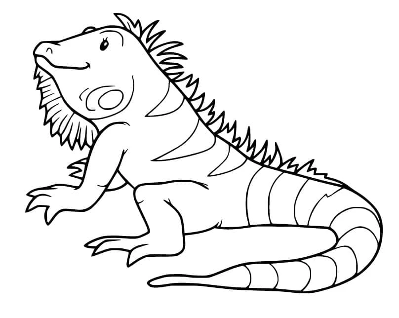 Iguana boyama sayfası – boyama etkinliği, çocuk aktivitesi