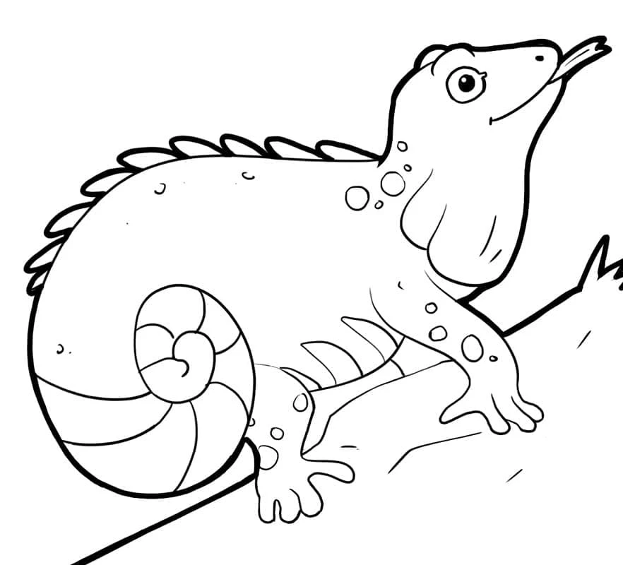 Iguana boyama sayfası – eğitici aktivite, yaratıcılık
