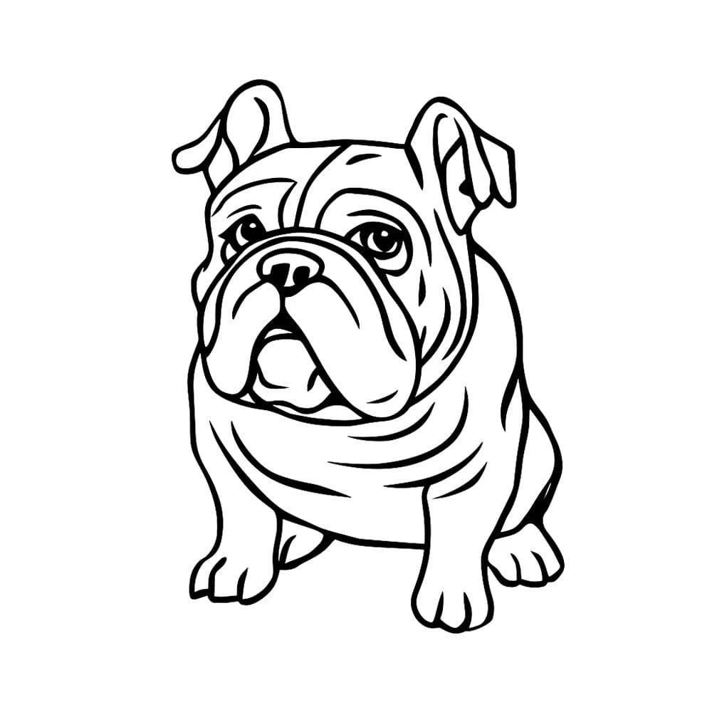 Buldog boyama sayfası – renkli çizimler, okul öncesi