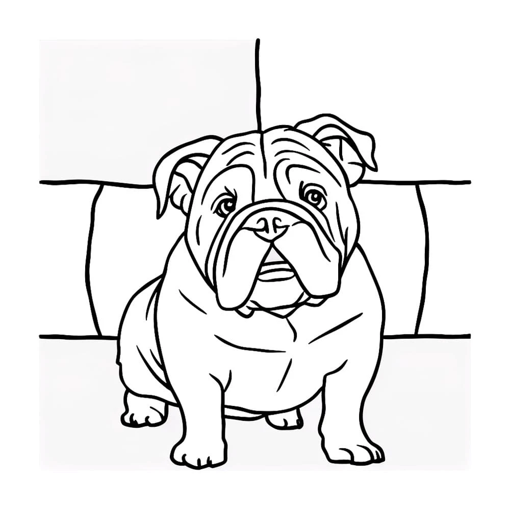 Buldog boyama sayfası – boyama çalışması, yaratıcılığı geliştirir