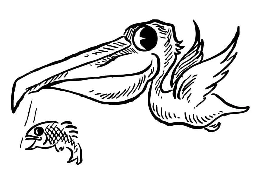 Pelikan boyama sayfası – okul öncesi, evde etkinlik