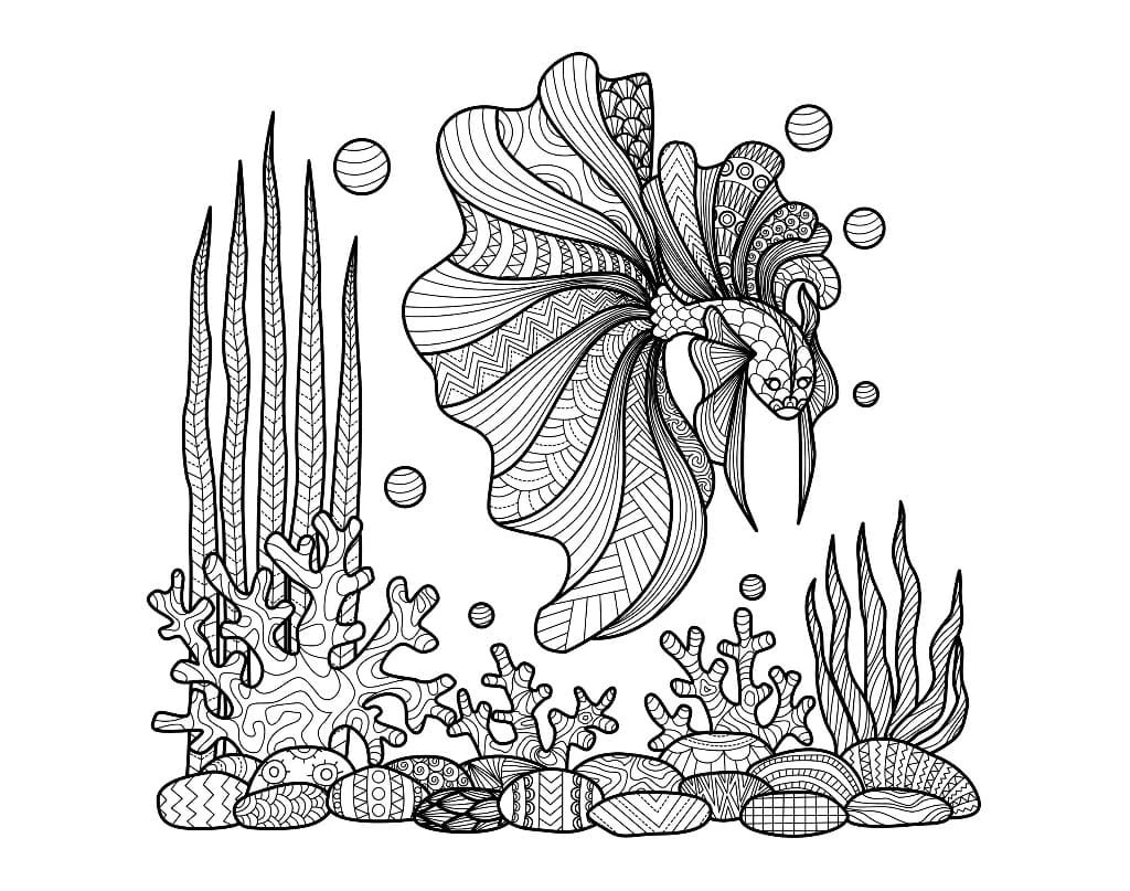 Zentangle boyama sayfası – eğitici aktivite, yaratıcılık