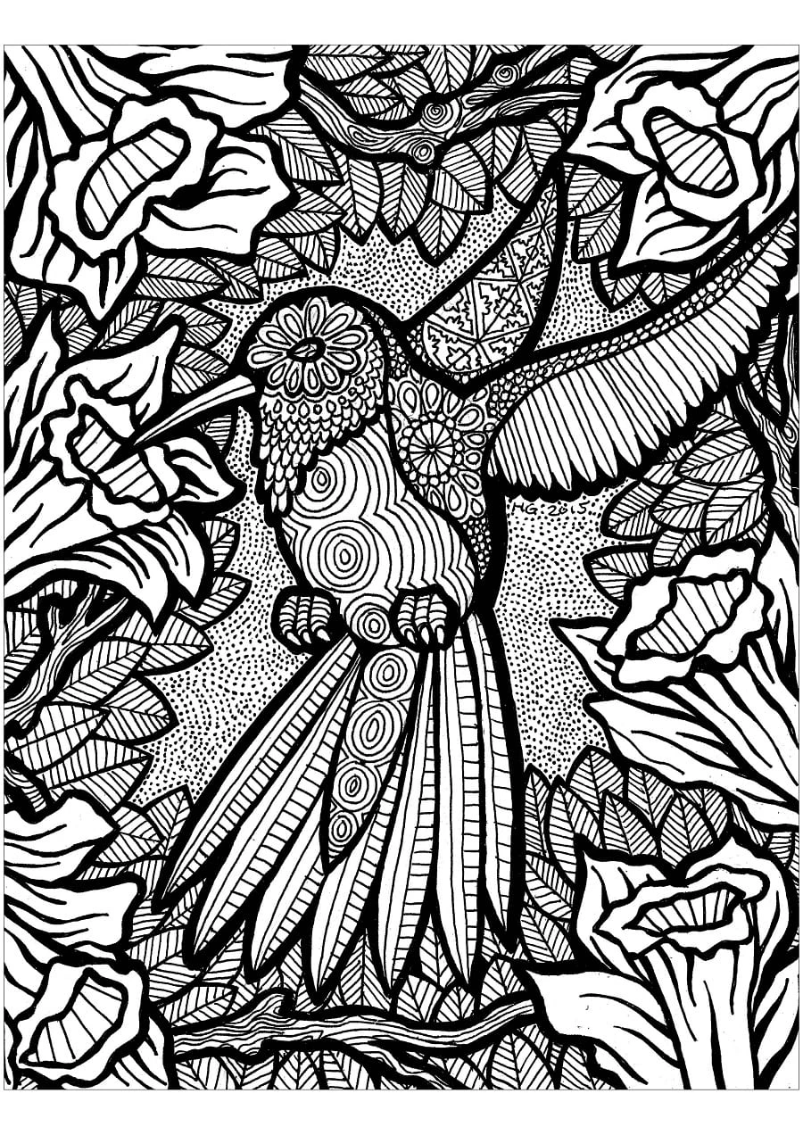 Zentangle boyama sayfası – boyama çalışması, yaratıcılığı geliştirir