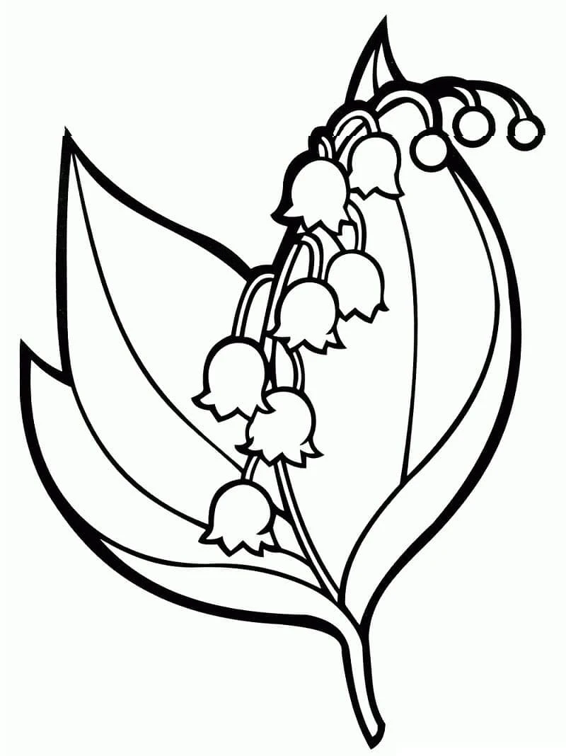Çan çiçeği boyama sayfası – çocuk aktivitesi, PDF indir