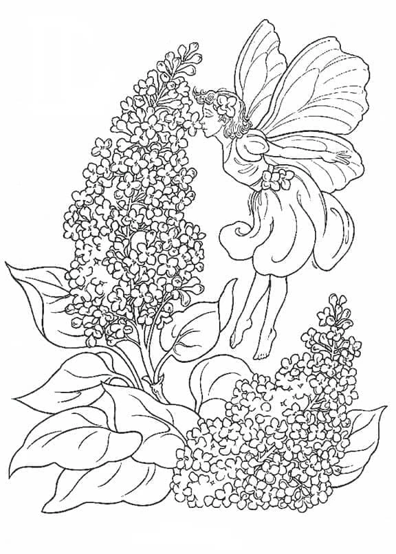 Lavanta boyama sayfası – okul öncesi, evde etkinlik