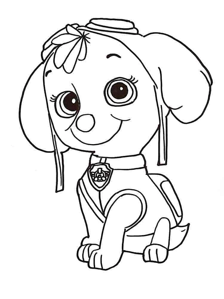Skye Paw Patrol boyama sayfası – okul öncesi, evde etkinlik