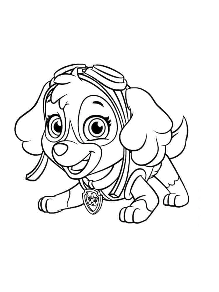 Skye Paw Patrol boyama sayfası – el becerilerini geliştirir, boyama çalışması