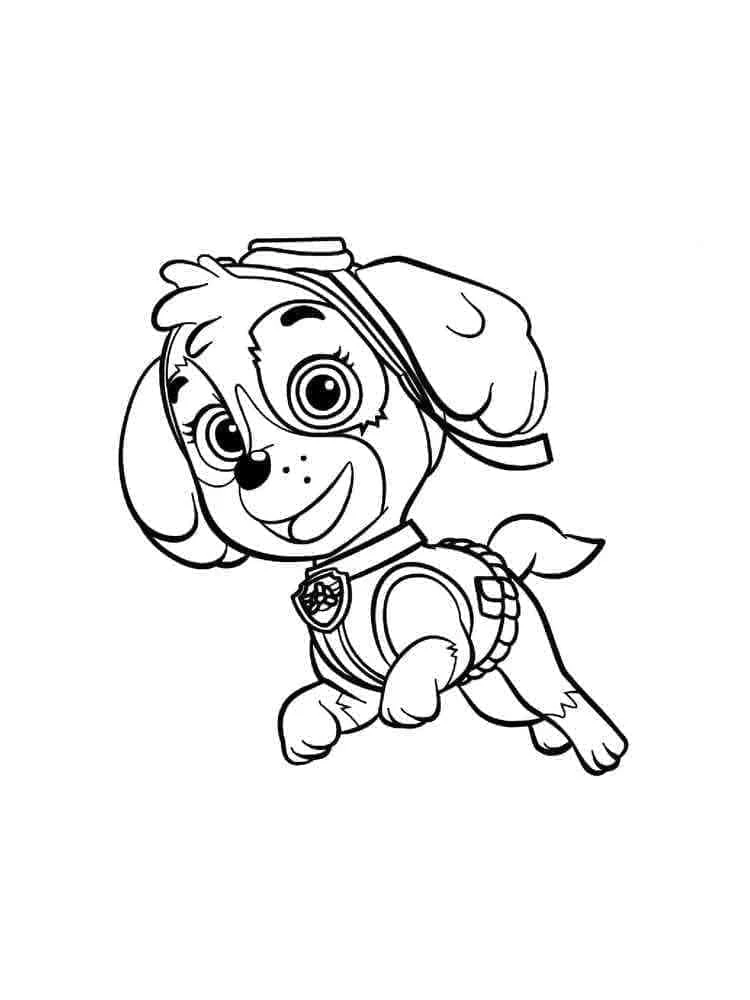 Skye Paw Patrol boyama sayfası – kolay boyama, eğitici aktivite