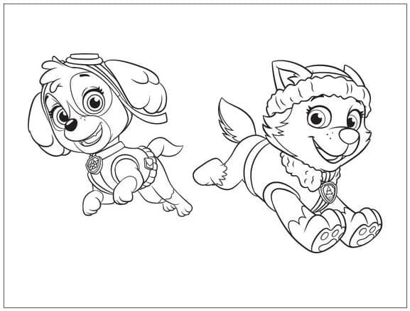 Skye Paw Patrol boyama sayfası – çizgi film temalı, basit çizim