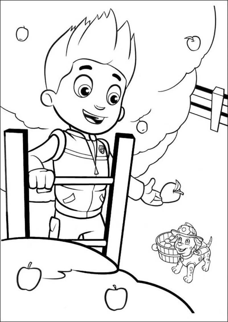 Ryder Paw Patrol boyama sayfası – eğitici aktivite, yaratıcılık