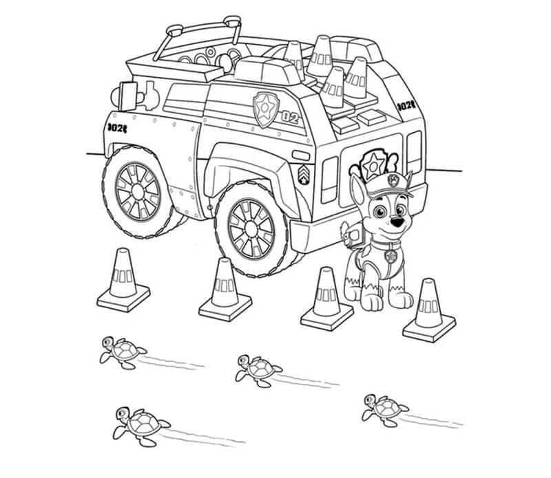 Chase Paw Patrol boyama sayfası – okul öncesi, evde etkinlik