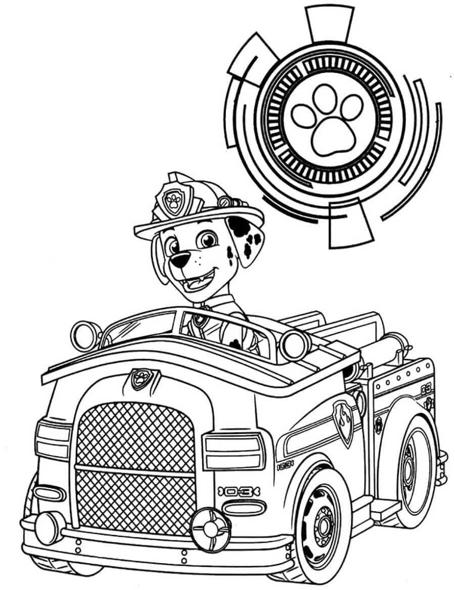 Marshall Paw Patrol boyama sayfası #3 – yaratıcılık, doğum günü partisi aktivitesi