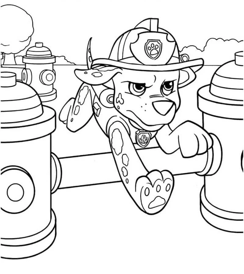Marshall Paw Patrol boyama sayfası #4 – boyama çalışması, sınıf etkinliği
