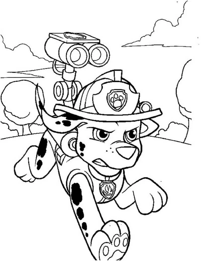 Marshall Paw Patrol boyama sayfası #5 – renkli çizimler, dikkat ve odaklanma geliştirir