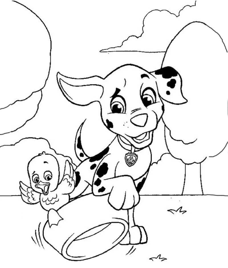 Marshall Paw Patrol boyama sayfası #20 – mürekkep tasarrufu sağlar, PDF indir