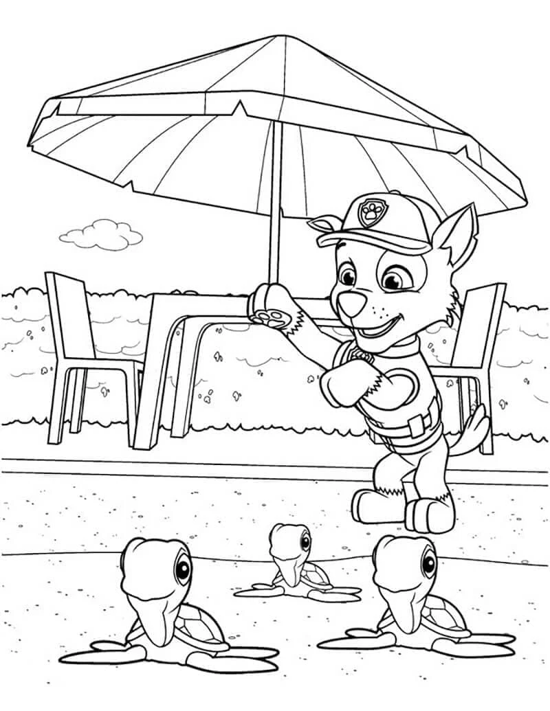 Rocky Paw Patrol boyama sayfası – okul öncesi, evde etkinlik
