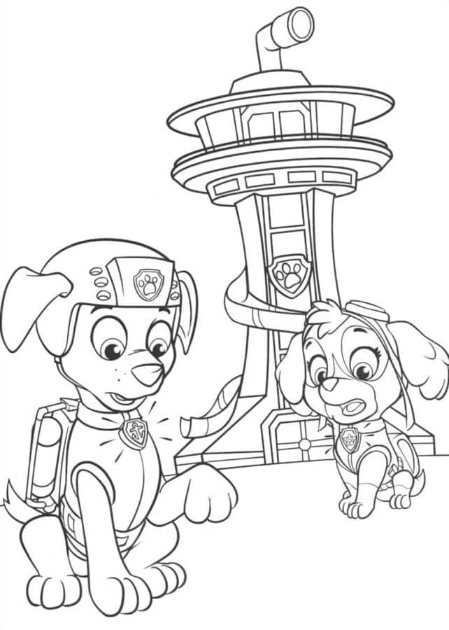 Zuma Paw Patrol boyama sayfası #11 – yaratıcılığı geliştirir, keyifli zaman