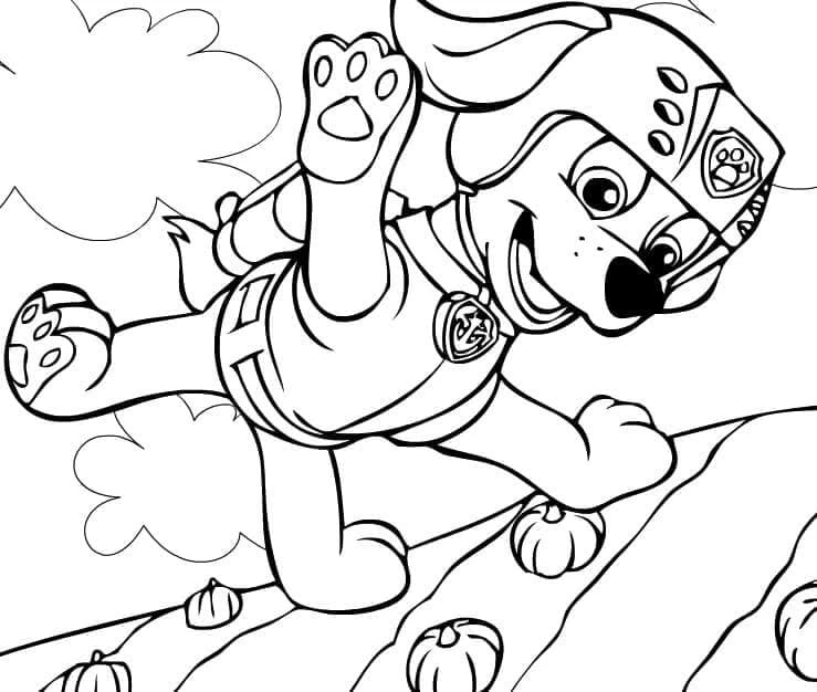 Zuma Paw Patrol boyama sayfası – sevimli karakter, sanatsal çalışma