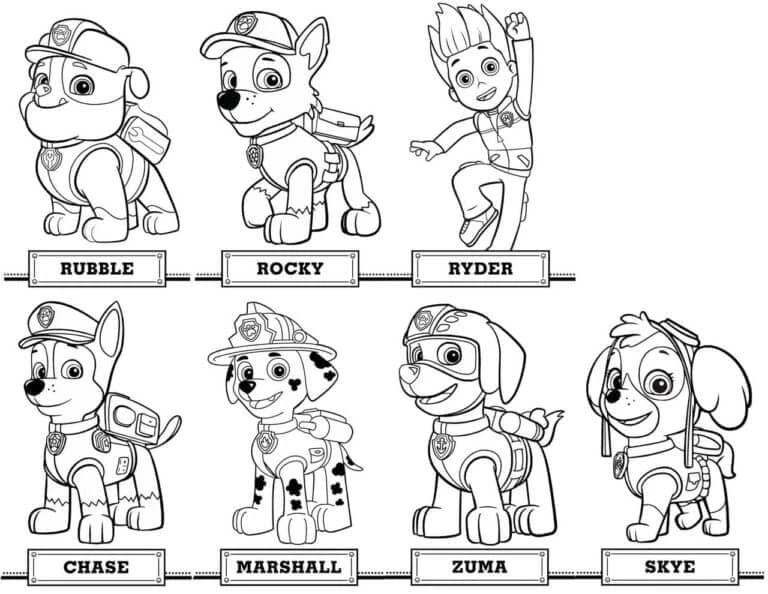 Zuma Paw Patrol boyama sayfası – kolay boyama, eğitici aktivite