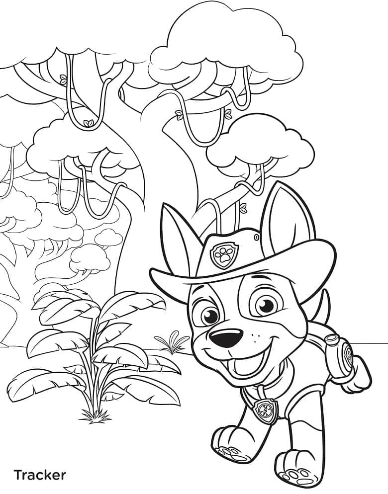 Tracker Paw Patrol boyama sayfası – sevimli karakter, sanatsal çalışma