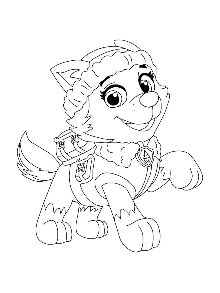 Everest Paw Patrol boyama sayfası – kolay boyama, eğitici aktivite