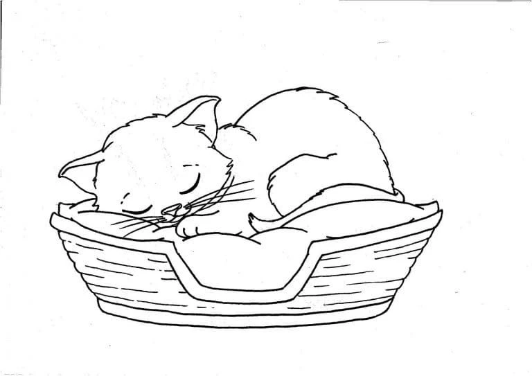 Kedi Yavrusu boyama sayfası – çizgi film temalı, basit çizim