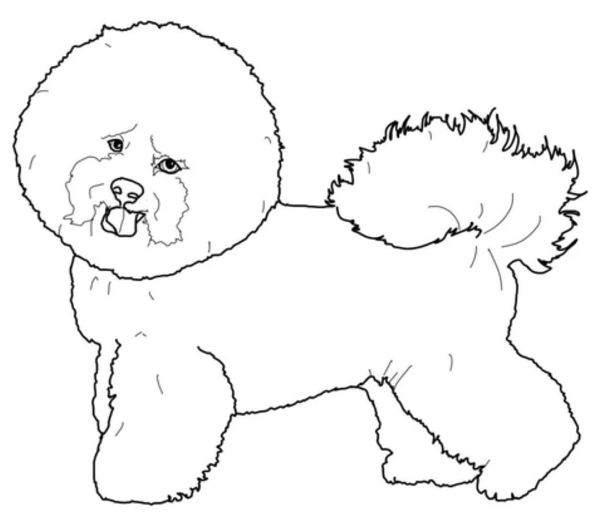 Köpek boyama sayfası #611 – sabır ve özgüven kazandırır, yaratıcı sanat çalışması