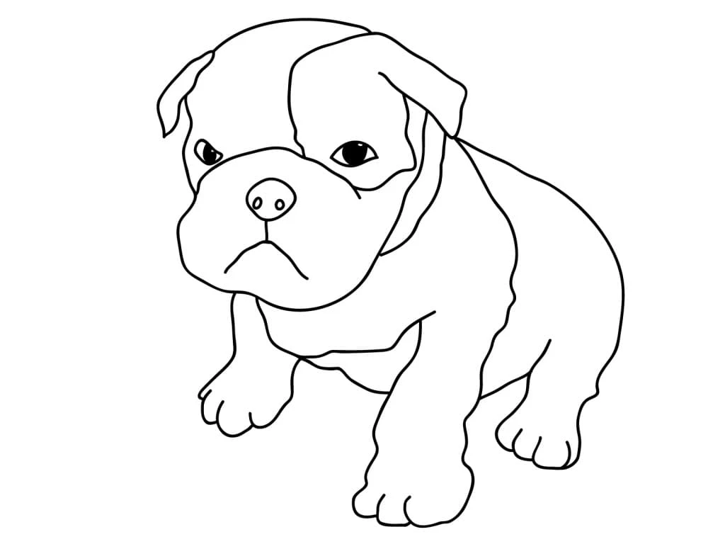 Köpek boyama sayfası #621 – ücretsiz yazdır, boyama etkinliği