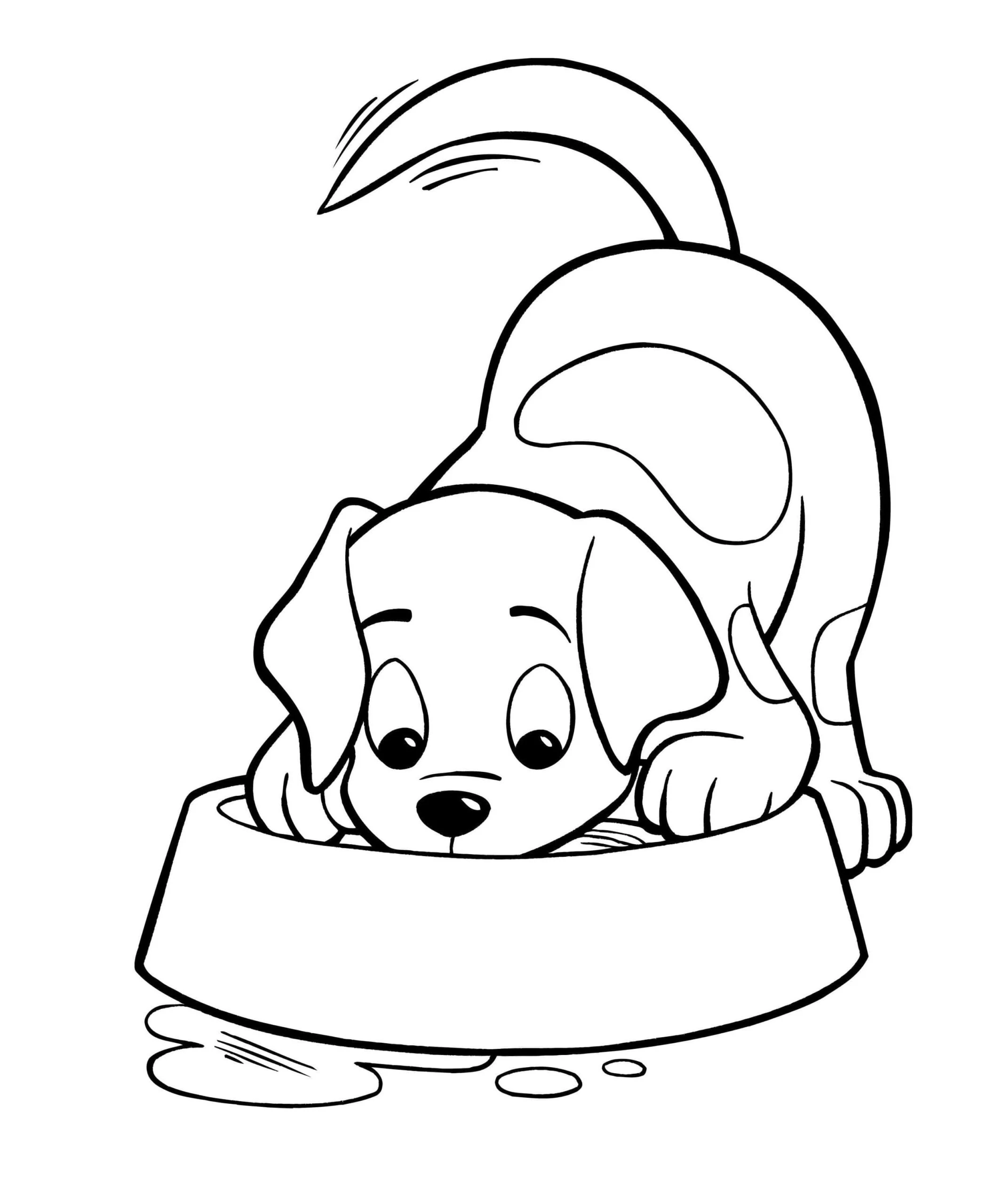 Köpek boyama sayfası #624 – kolay boyama, eğitici aktivite