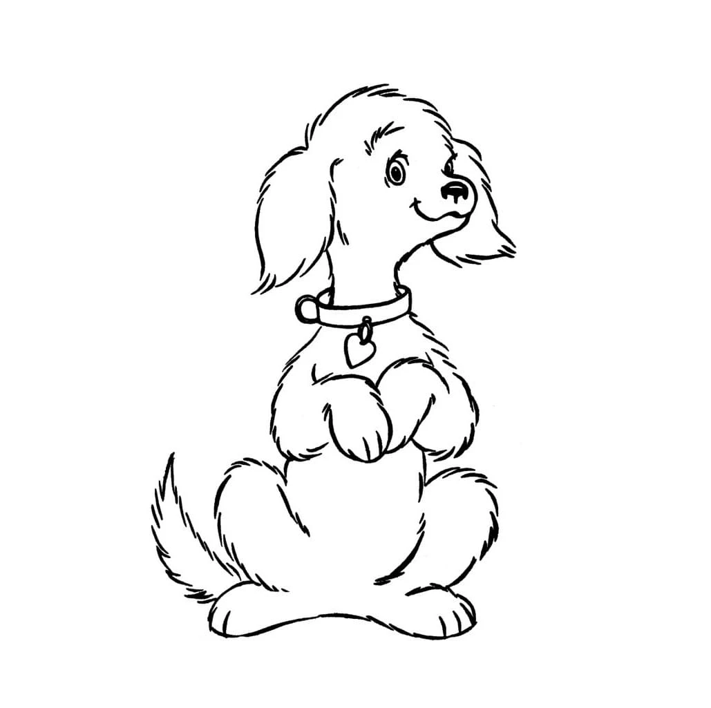 Köpek boyama sayfası #627 – okul öncesi, evde etkinlik