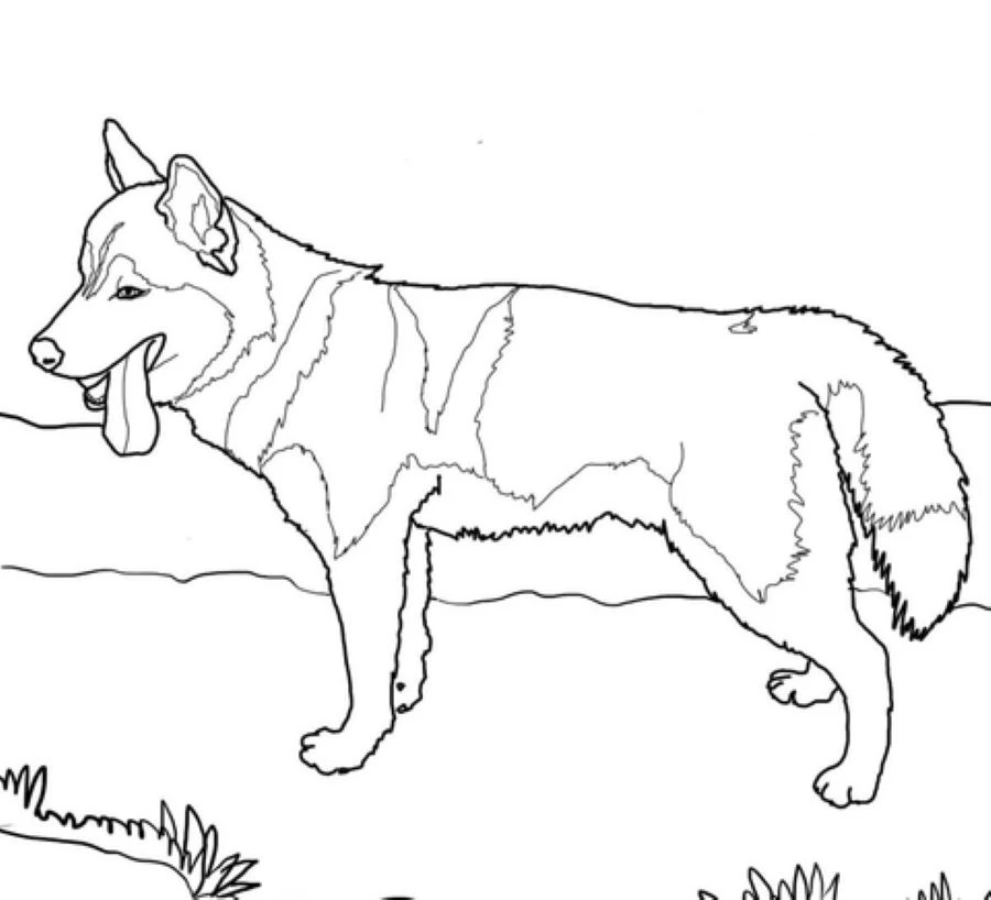 Köpek boyama sayfası #629 – sevimli karakter, sanatsal çalışma
