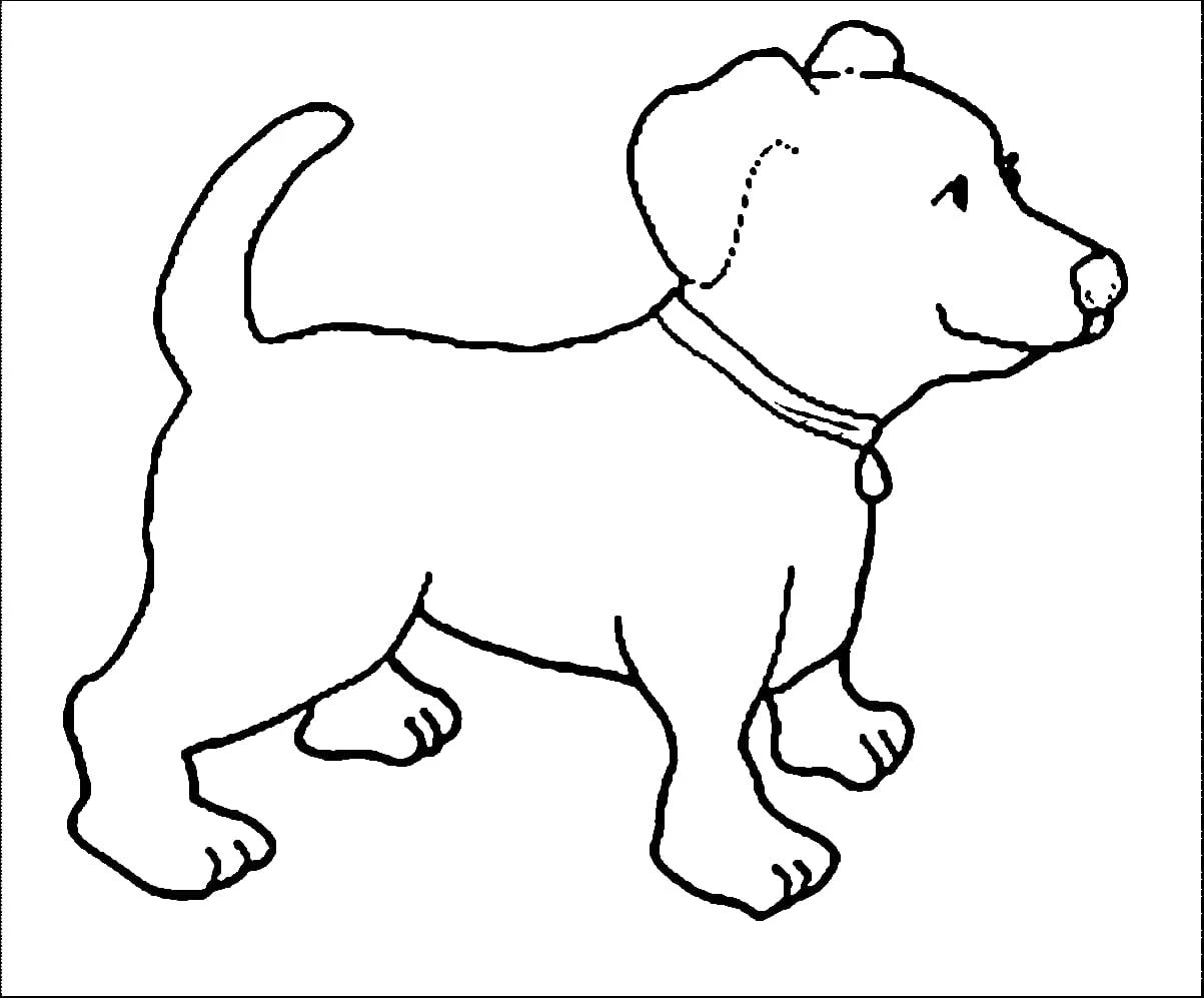 Köpek boyama sayfası #633 – keyifli zaman, renkli çizimler