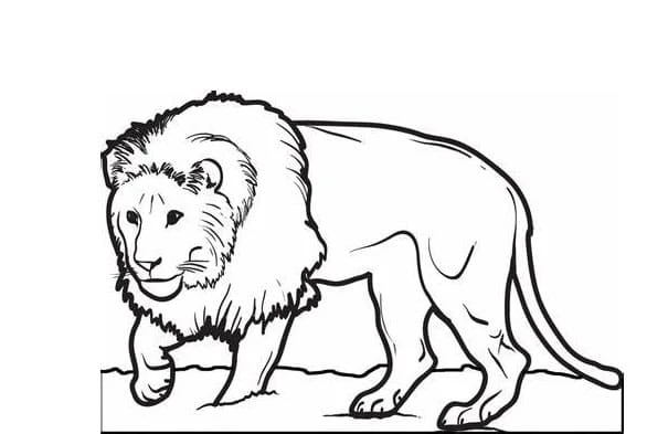 Aslan boyama sayfası – boyama etkinliği, çocuk aktivitesi