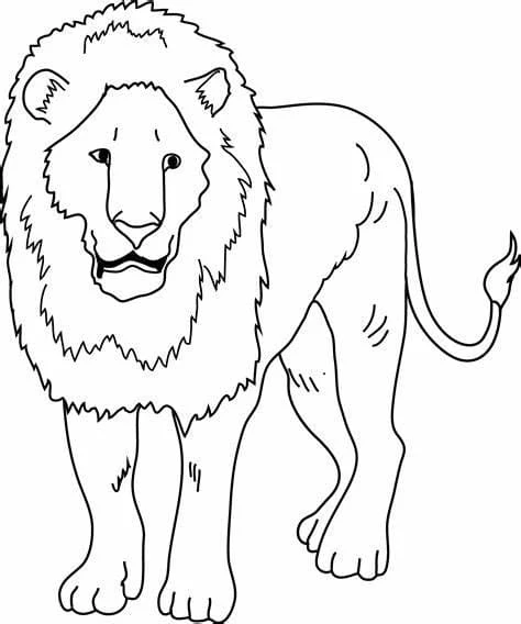 Aslan boyama sayfası – çocuk aktivitesi, PDF indir