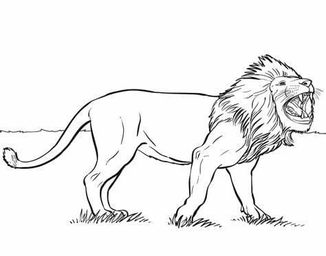 Aslan boyama sayfası – renkli çizimler, okul öncesi