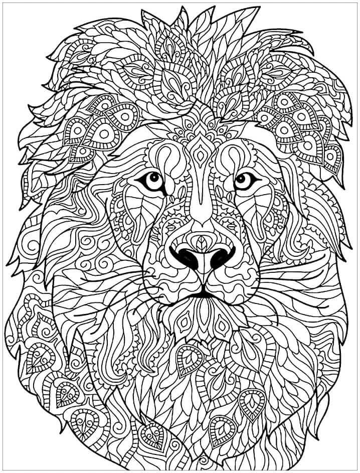 Aslan boyama sayfası – boyama çalışması, yaratıcılığı geliştirir
