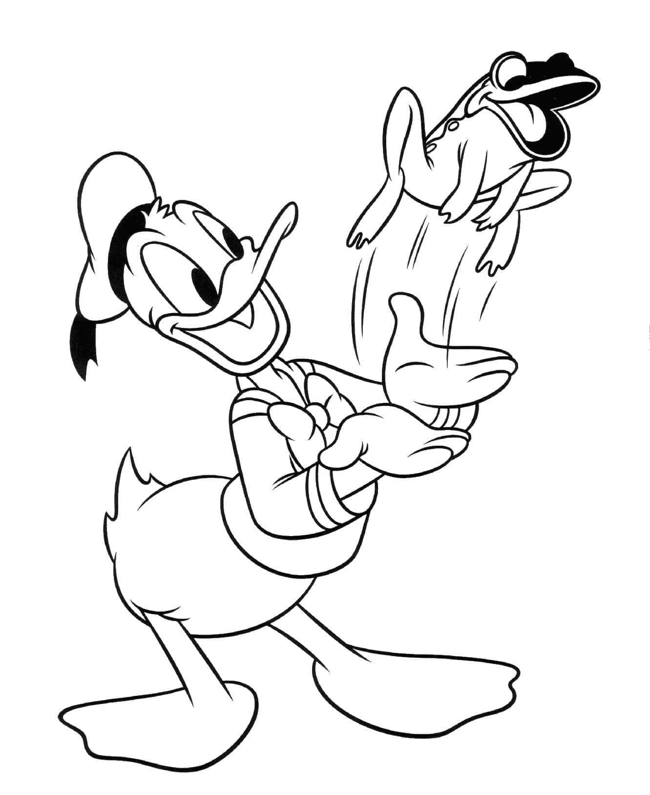 Donald Duck boyama sayfası – renkli çizimler, okul öncesi
