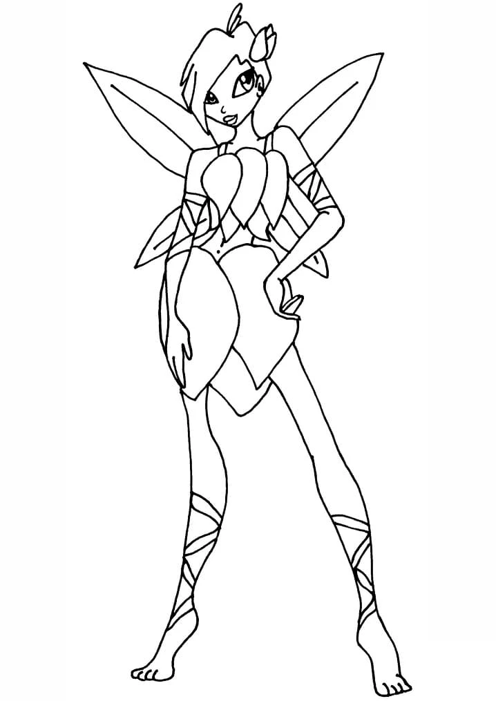 Winx Club boyama sayfası – boyama çalışması, yaratıcılığı geliştirir