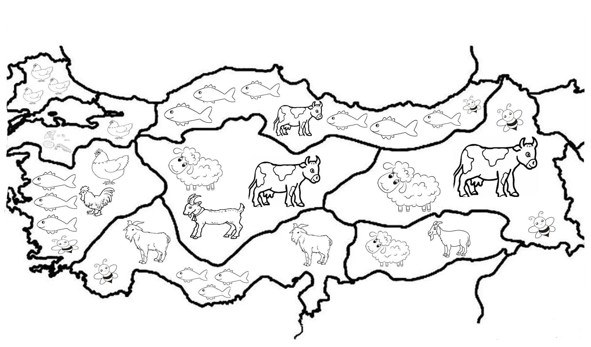 Türkiye Haritası boyama sayfası – kolay boyama, eğitici aktivite