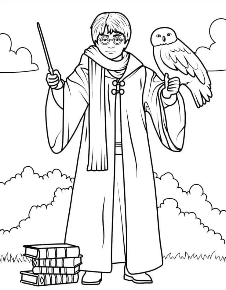 Harry Potter boyama sayfası – okul öncesi, evde etkinlik