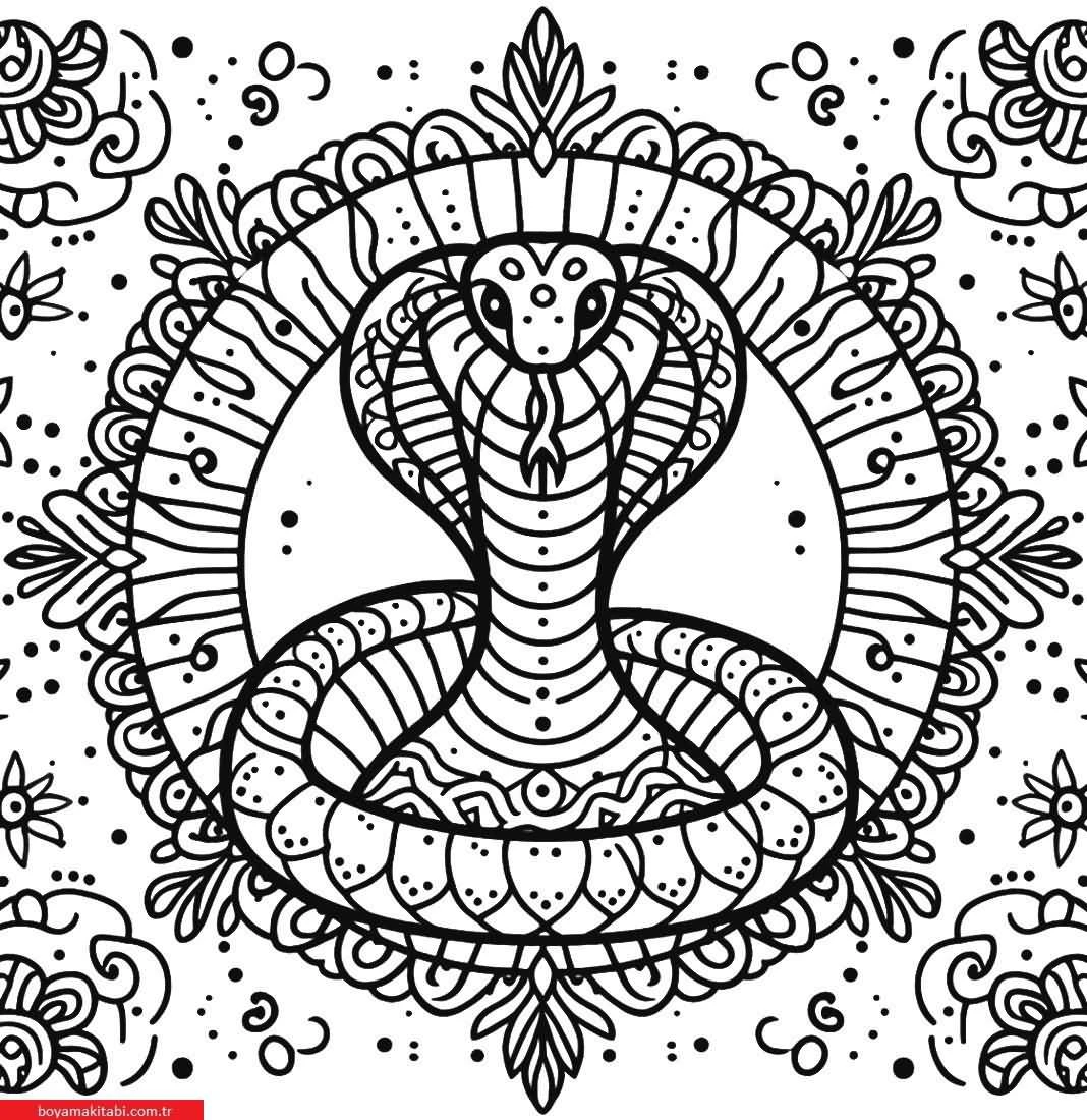 Mandala Hayvanlar Boyama