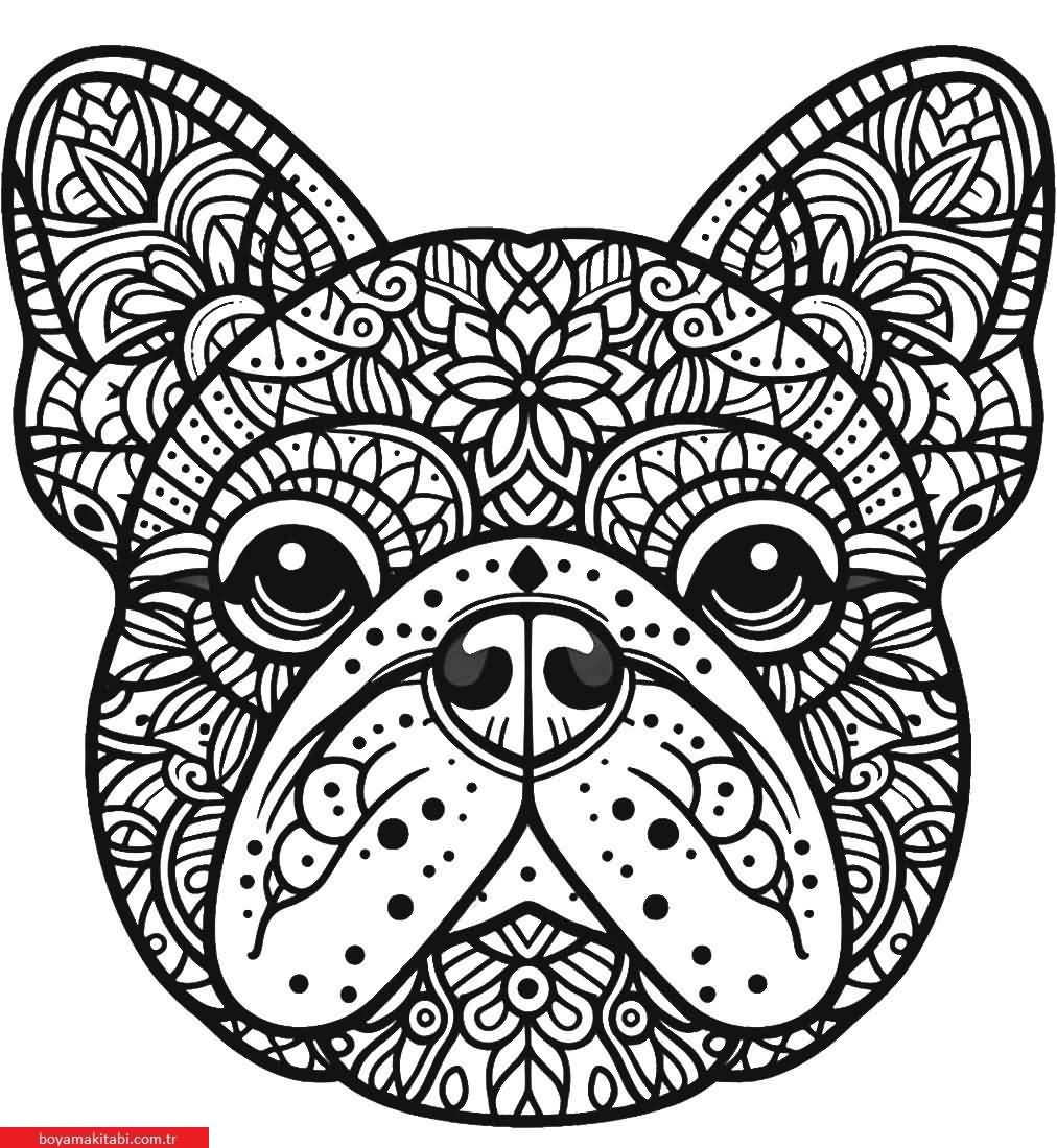 Mandala Hayvanlar Boyama