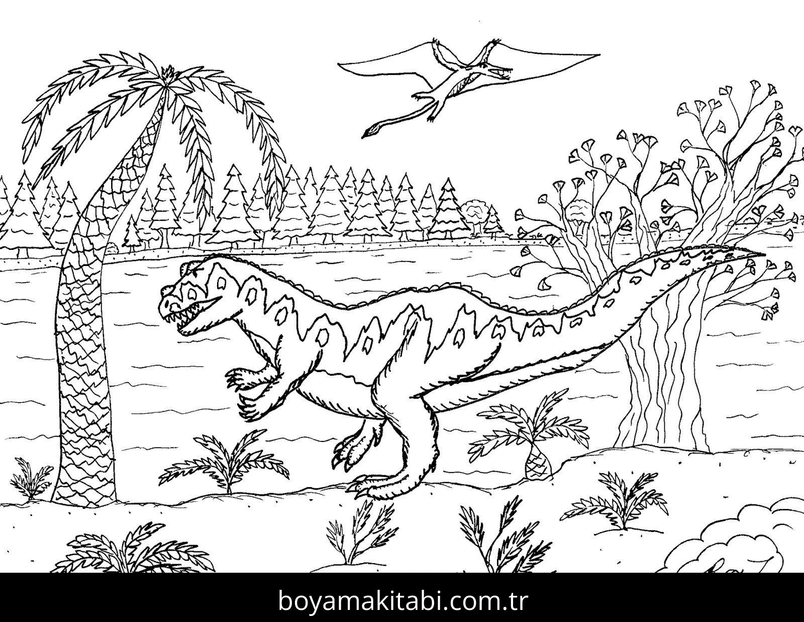 Allosaurus Dinazor boyama sayfası – renkli çizimler, okul öncesi