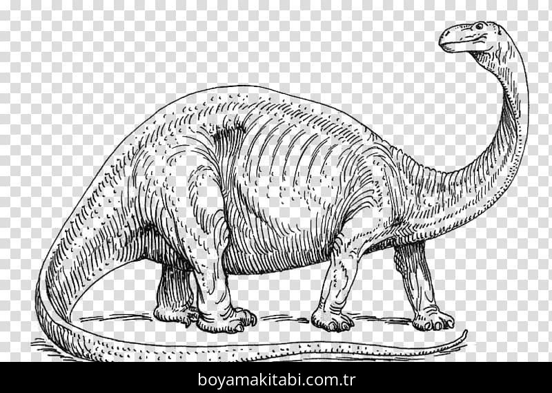 Apatosaurus Dinazor boyama sayfası #2 – el becerilerini geliştirir, boyama çalışması