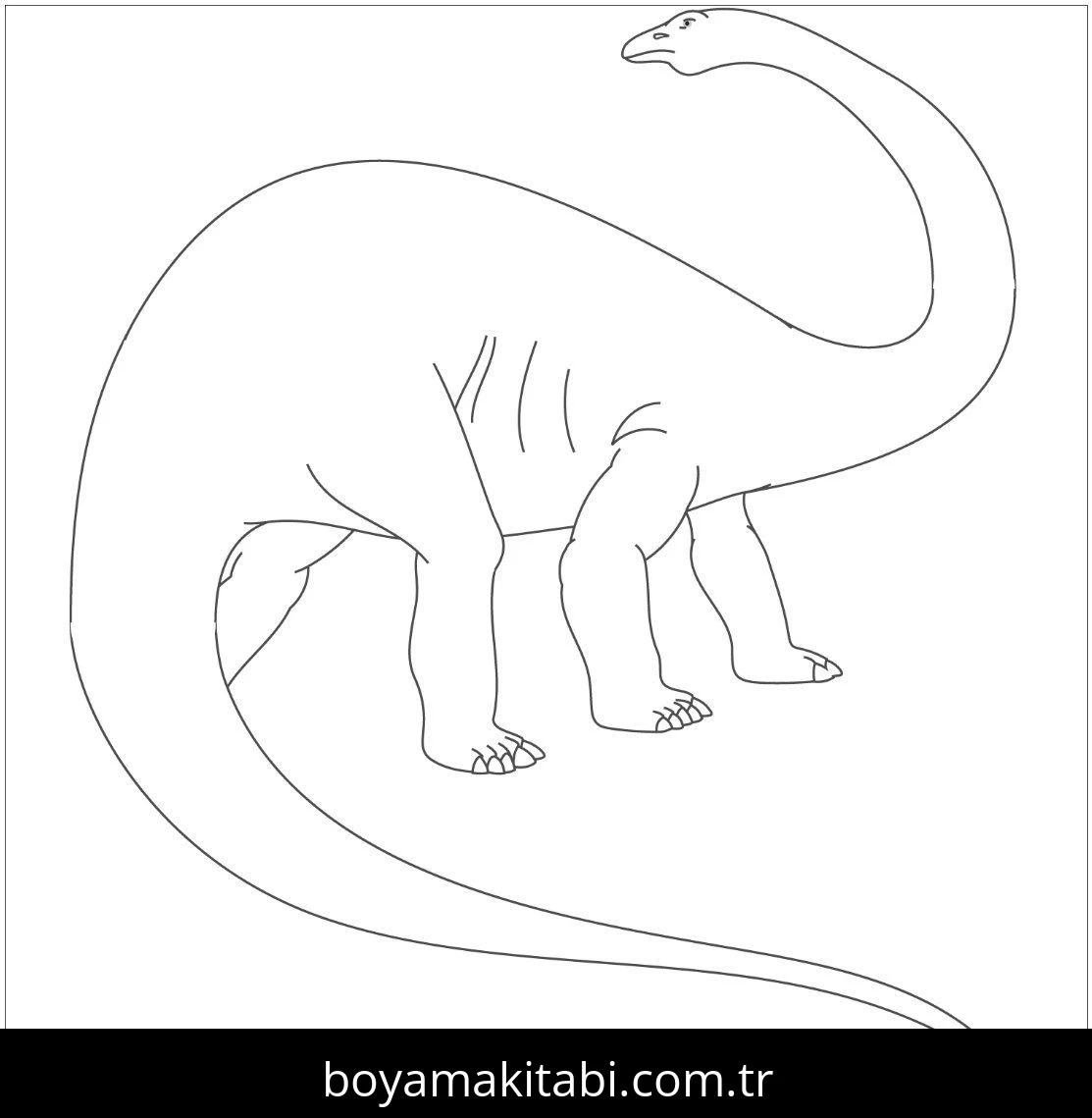Apatosaurus Dinazor boyama sayfası #28 – yaratıcı sanat çalışması, eğlenceli etkinlik
