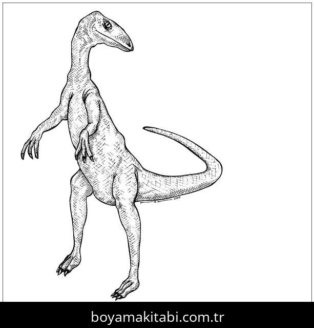Coelophysis Dinazor boyama sayfası – okul öncesi, evde etkinlik