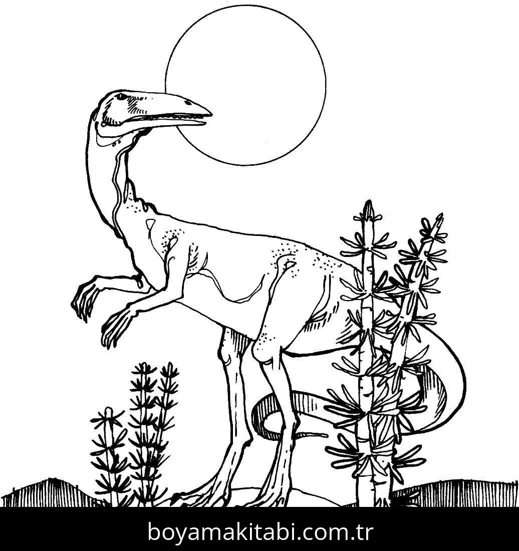 Coelophysis Dinazor boyama sayfası – eğitici aktivite, yaratıcılık